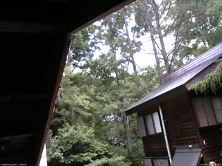 長野県菅平高原 ゆたか山荘 北側 2025/07/26 11:30