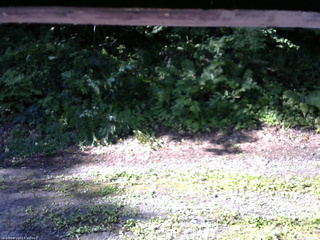 長野県菅平高原 ゆたか山荘 南側 2025/07/26 07:45