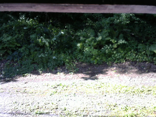 長野県菅平高原 ゆたか山荘 南側 2025/07/26 08:00