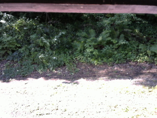 長野県菅平高原 ゆたか山荘 南側 2025/07/26 08:15