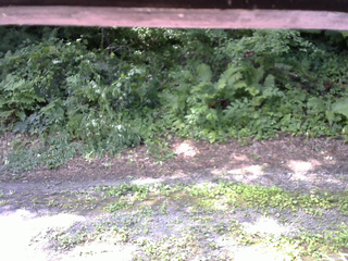 長野県菅平高原 ゆたか山荘 南側 2025/07/26 09:00