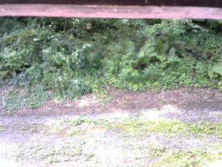 長野県菅平高原 ゆたか山荘 南側 2025/07/26 09:15