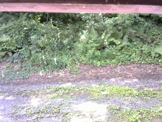 長野県菅平高原 ゆたか山荘 南側 2025/07/26 10:15