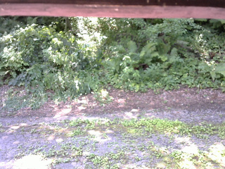 長野県菅平高原 ゆたか山荘 南側 2025/07/26 10:45