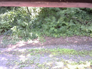 長野県菅平高原 ゆたか山荘 南側 2025/07/26 11:00