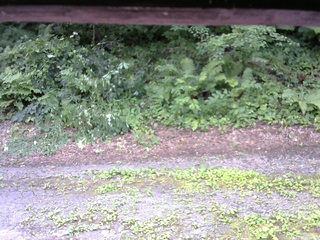 長野県菅平高原 ゆたか山荘 南側 2025/07/26 11:15