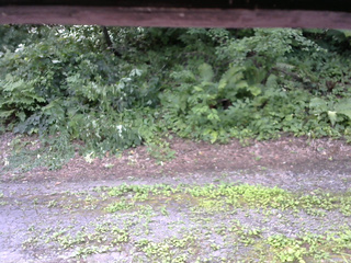 長野県菅平高原 ゆたか山荘 南側 2025/07/26 11:30