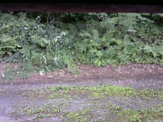 長野県菅平高原 ゆたか山荘 南側 2025/07/26 12:00