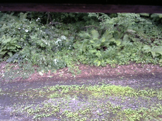 長野県菅平高原 ゆたか山荘 南側 2025/07/26 17:30