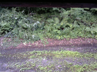 長野県菅平高原 ゆたか山荘 南側 2025/07/26 18:30