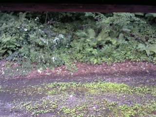 長野県菅平高原 ゆたか山荘 南側 2025/07/26 18:45