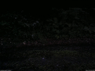 長野県菅平高原 ゆたか山荘 南側 2025/07/26 19:15