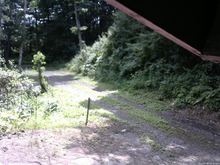 長野県菅平高原 ゆたか山荘 東側(坂下) 2025/07/26 10:30