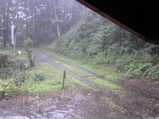 長野県菅平高原 ゆたか山荘 東側(坂下) 2025/07/26 12:15