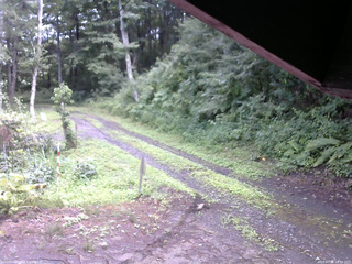 長野県菅平高原 ゆたか山荘 東側(坂下) 2025/07/26 14:00