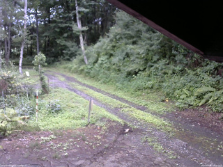 長野県菅平高原 ゆたか山荘 東側(坂下) 2025/07/26 14:30