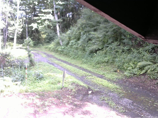 長野県菅平高原 ゆたか山荘 東側(坂下) 2025/07/26 15:00