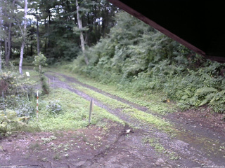 長野県菅平高原 ゆたか山荘 東側(坂下) 2025/07/26 15:15