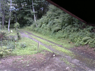 長野県菅平高原 ゆたか山荘 東側(坂下) 2025/07/26 18:15