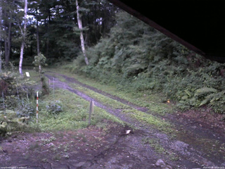 長野県菅平高原 ゆたか山荘 東側(坂下) 2025/07/26 19:00