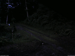長野県菅平高原 ゆたか山荘 東側(坂下) 2025/07/26 19:15
