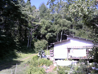 長野県菅平高原 ゆたか山荘 西側(坂上) 2025/07/26 08:45