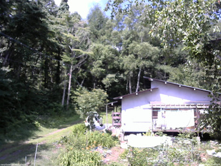 長野県菅平高原 ゆたか山荘 西側(坂上) 2025/07/26 09:45
