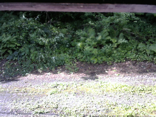 長野県菅平高原 ゆたか山荘 南側 2025/07/27 08:00