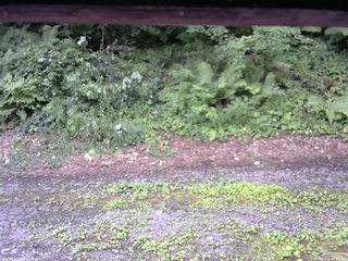 長野県菅平高原 ゆたか山荘 南側 2025/07/27 14:15