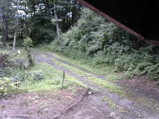長野県菅平高原 ゆたか山荘 東側(坂下) 2025/07/27 08:45