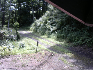 長野県菅平高原 ゆたか山荘 東側(坂下) 2025/07/27 09:30