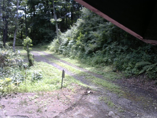 長野県菅平高原 ゆたか山荘 東側(坂下) 2025/07/27 10:00