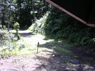 長野県菅平高原 ゆたか山荘 東側(坂下) 2025/07/27 10:15