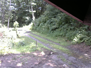 長野県菅平高原 ゆたか山荘 東側(坂下) 2025/07/27 12:15