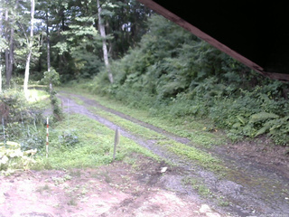 長野県菅平高原 ゆたか山荘 東側(坂下) 2025/07/27 15:00