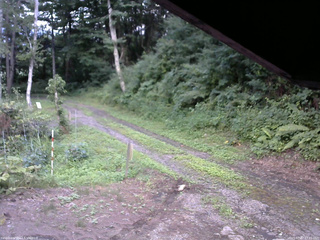 長野県菅平高原 ゆたか山荘 東側(坂下) 2025/07/27 17:45