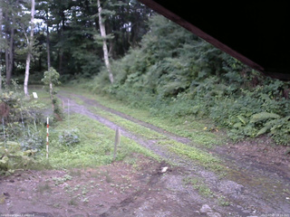 長野県菅平高原 ゆたか山荘 東側(坂下) 2025/07/27 18:15