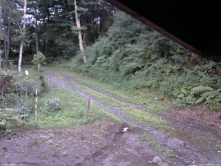 長野県菅平高原 ゆたか山荘 東側(坂下) 2025/07/27 18:45