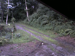 長野県菅平高原 ゆたか山荘 東側(坂下) 2025/07/27 19:00