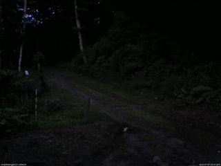 長野県菅平高原 ゆたか山荘 東側(坂下) 2025/07/27 19:15
