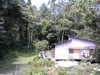 長野県菅平高原 ゆたか山荘 西側(坂上) 2025/07/27 09:30