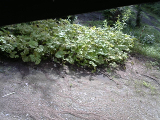 長野県菅平高原 ゆたか山荘 駐車場 2025/07/27 08:15