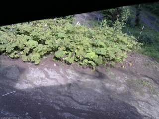 長野県菅平高原 ゆたか山荘 駐車場 2025/07/27 15:15