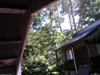 長野県菅平高原 ゆたか山荘 北側 2025/07/28 08:30