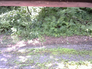 長野県菅平高原 ゆたか山荘 南側 2025/07/28 11:00