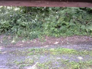 長野県菅平高原 ゆたか山荘 南側 2025/07/28 12:00