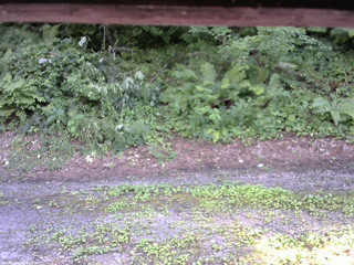 長野県菅平高原 ゆたか山荘 南側 2025/07/28 14:45