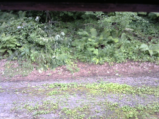 長野県菅平高原 ゆたか山荘 南側 2025/07/28 15:30