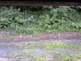 長野県菅平高原 ゆたか山荘 南側 2025/07/28 16:00