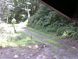 長野県菅平高原 ゆたか山荘 東側(坂下) 2025/07/28 12:15